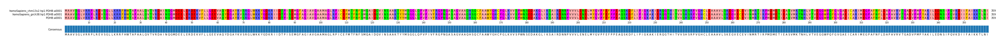 Multiple Alignments (by translate haplotype frequency)