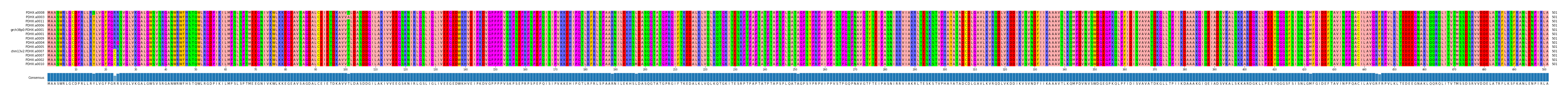 Multiple Alignments (by translate haplotype similarity)