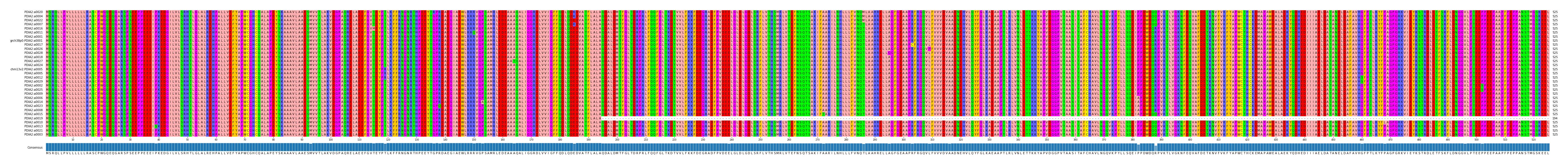 Multiple Alignments (by translate haplotype similarity)