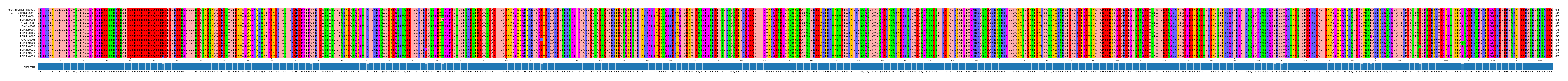 Multiple Alignments (by translate haplotype frequency)
