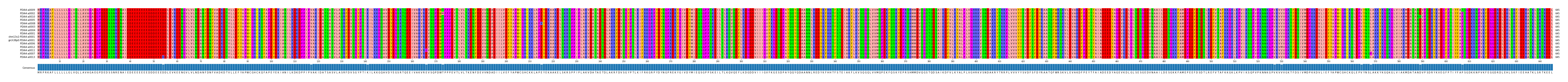 Multiple Alignments (by translate haplotype similarity)