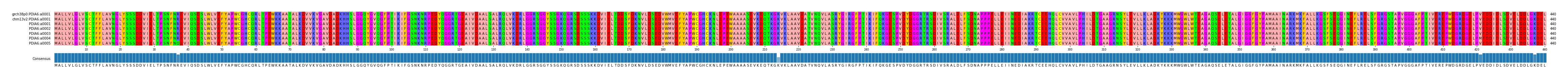 Multiple Alignments (by translate haplotype frequency)