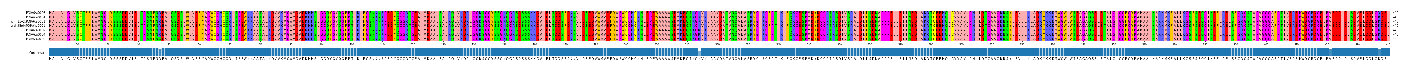 Multiple Alignments (by translate haplotype similarity)