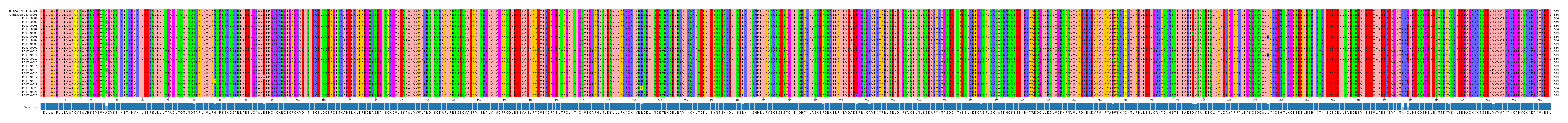 Multiple Alignments (by translate haplotype frequency)