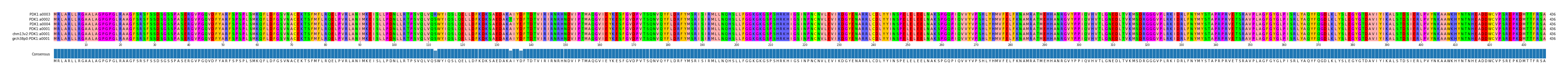 Multiple Alignments (by translate haplotype similarity)