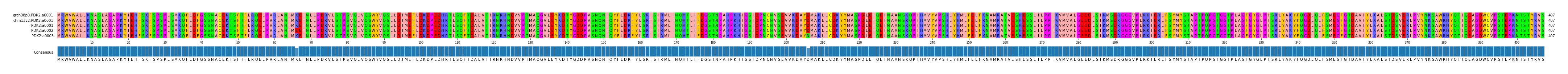 Multiple Alignments (by translate haplotype frequency)