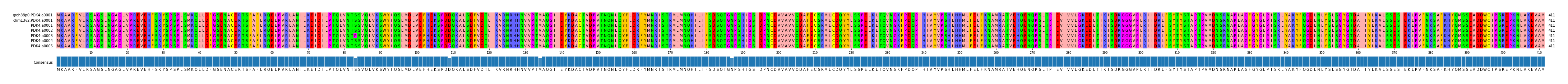 Multiple Alignments (by translate haplotype frequency)