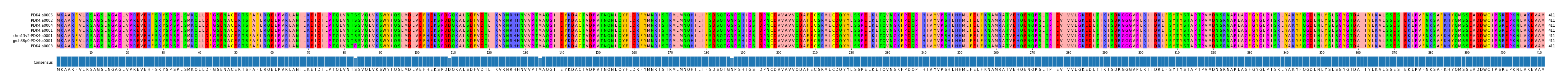 Multiple Alignments (by translate haplotype similarity)