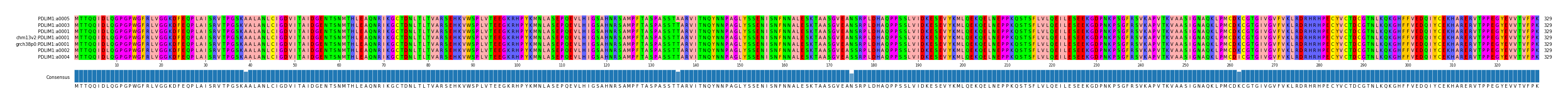Multiple Alignments (by translate haplotype similarity)
