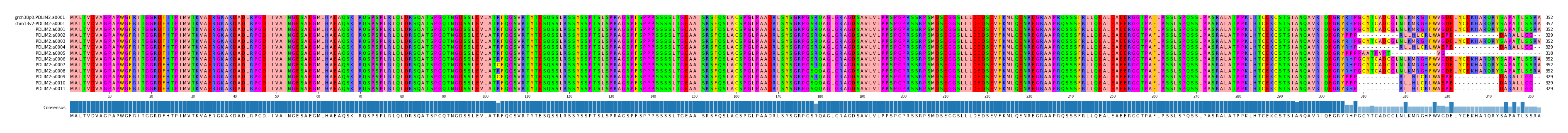 Multiple Alignments (by translate haplotype frequency)
