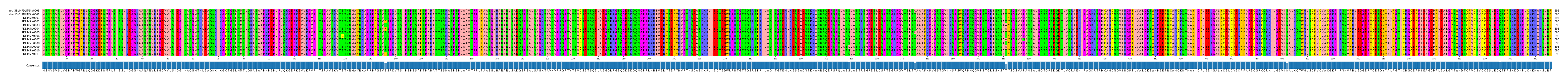 Multiple Alignments (by translate haplotype frequency)