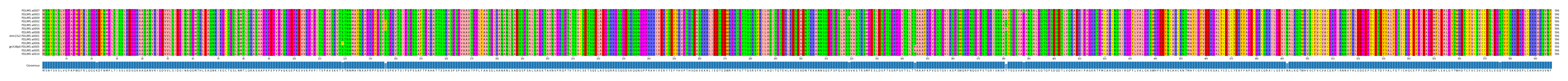 Multiple Alignments (by translate haplotype similarity)