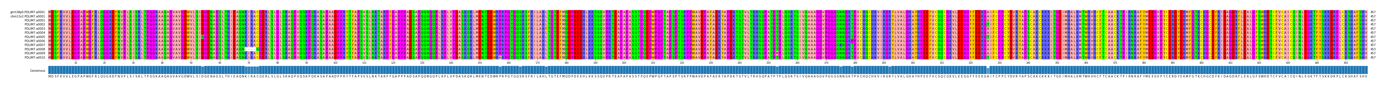 Multiple Alignments (by translate haplotype frequency)
