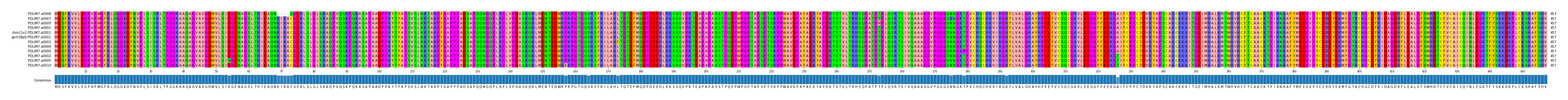 Multiple Alignments (by translate haplotype similarity)