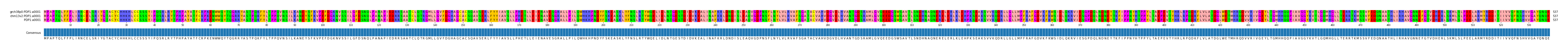 Multiple Alignments (by translate haplotype similarity)