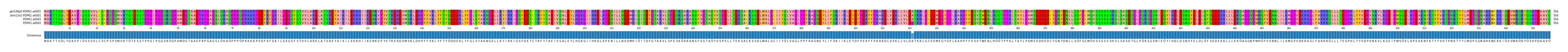 Multiple Alignments (by translate haplotype similarity)