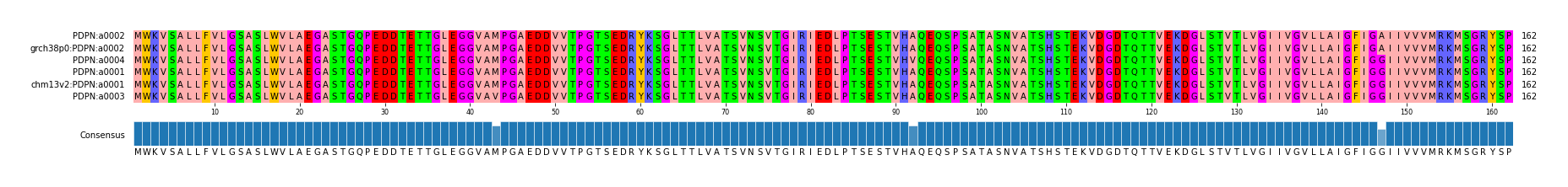 Multiple Alignments (by translate haplotype similarity)