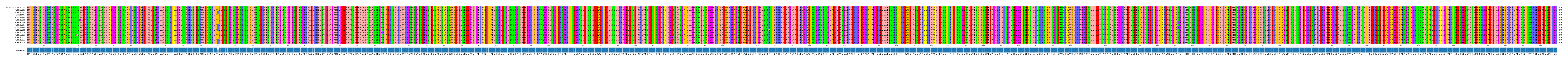 Multiple Alignments (by translate haplotype frequency)