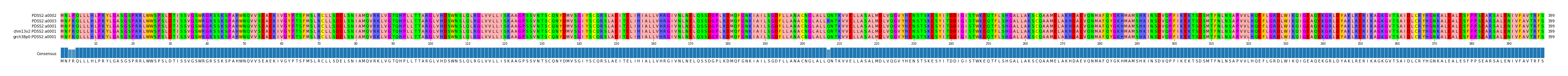 Multiple Alignments (by translate haplotype similarity)
