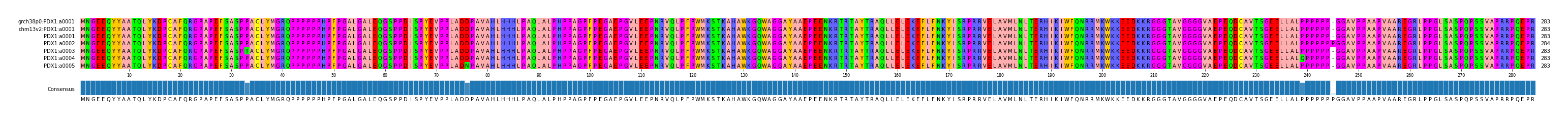 Multiple Alignments (by translate haplotype frequency)