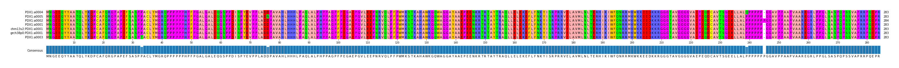 Multiple Alignments (by translate haplotype similarity)