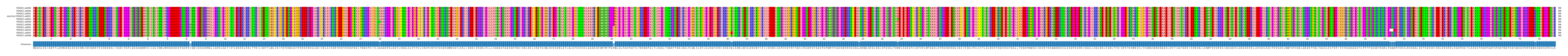 Multiple Alignments (by translate haplotype similarity)