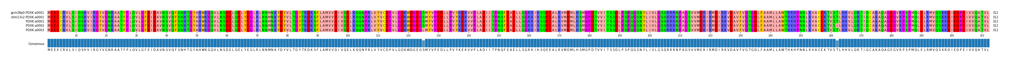 Multiple Alignments (by translate haplotype frequency)