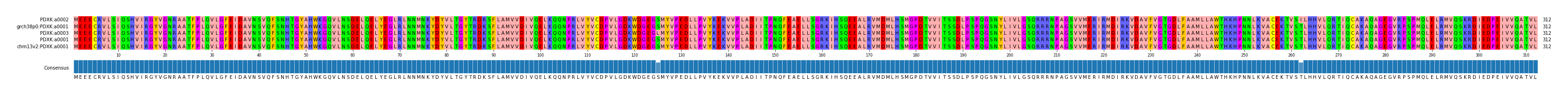 Multiple Alignments (by translate haplotype similarity)