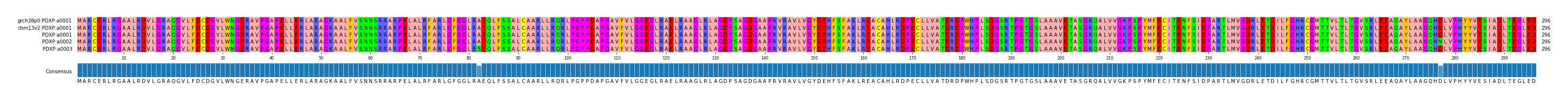 Multiple Alignments (by translate haplotype frequency)