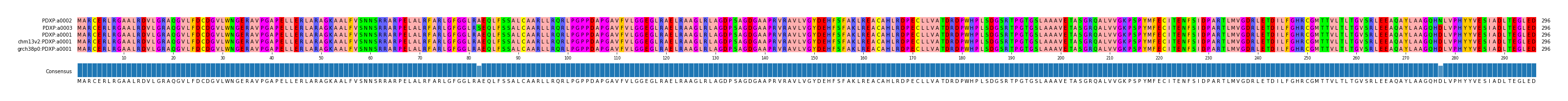 Multiple Alignments (by translate haplotype similarity)