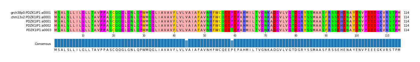 Multiple Alignments (by translate haplotype frequency)