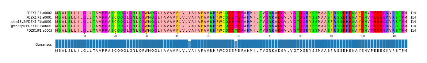 Multiple Alignments (by translate haplotype similarity)