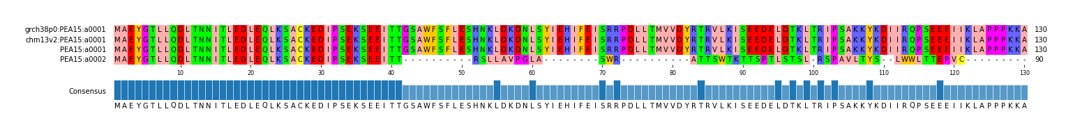 Multiple Alignments (by translate haplotype frequency)
