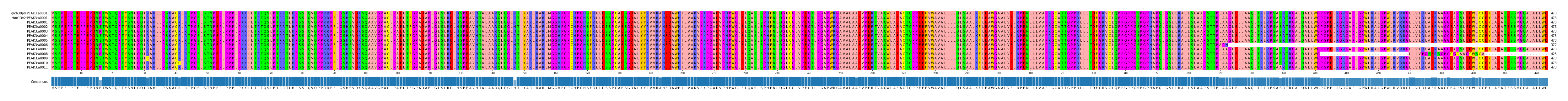 Multiple Alignments (by translate haplotype frequency)