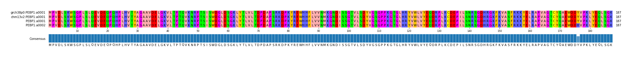 Multiple Alignments (by translate haplotype similarity)
