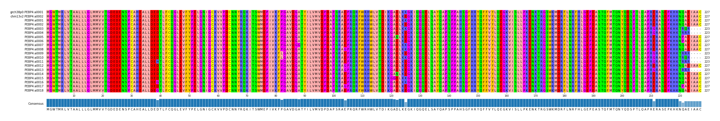 Multiple Alignments (by translate haplotype frequency)