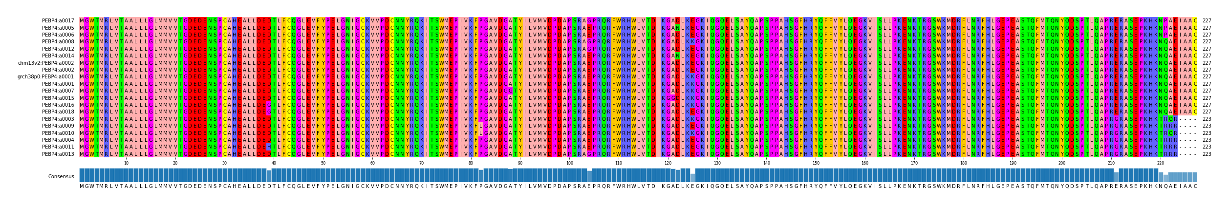 Multiple Alignments (by translate haplotype similarity)