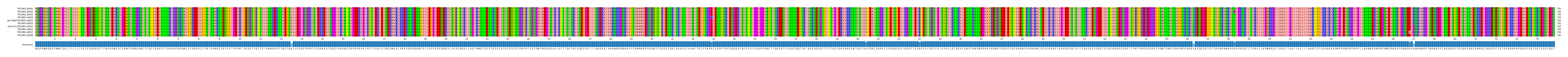 Multiple Alignments (by translate haplotype similarity)