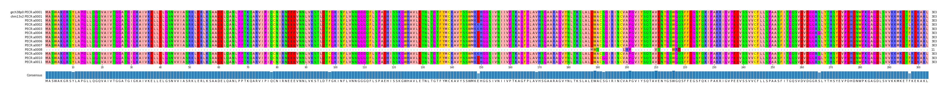 Multiple Alignments (by translate haplotype frequency)
