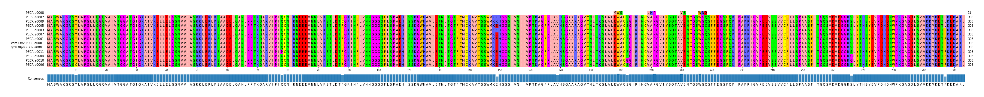 Multiple Alignments (by translate haplotype similarity)