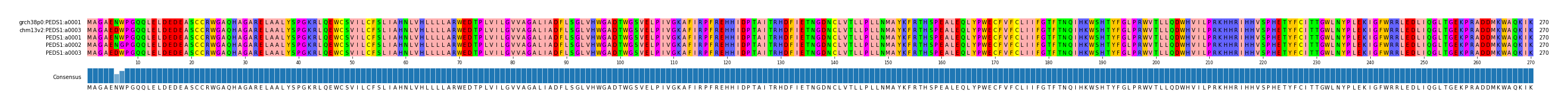Multiple Alignments (by translate haplotype frequency)