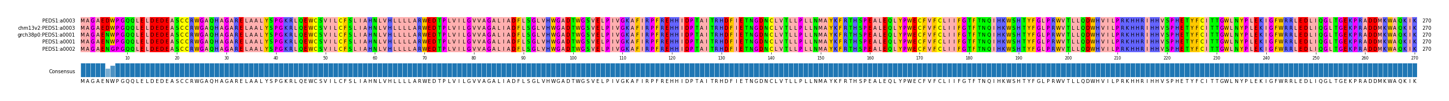 Multiple Alignments (by translate haplotype similarity)