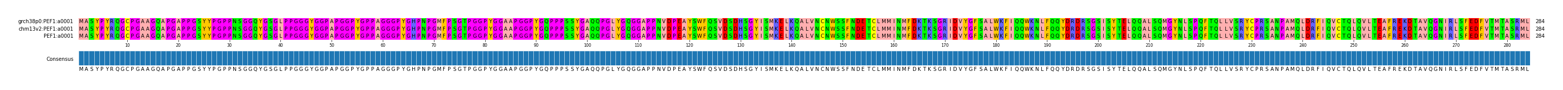 Multiple Alignments (by translate haplotype similarity)