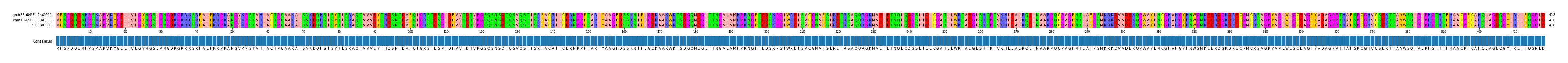 Multiple Alignments (by translate haplotype similarity)