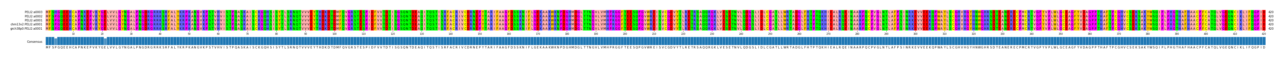 Multiple Alignments (by translate haplotype similarity)
