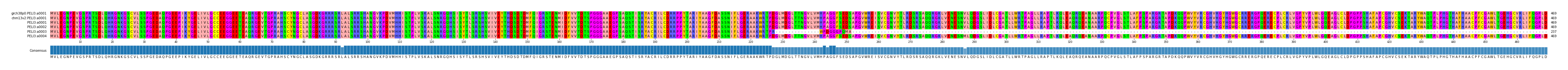Multiple Alignments (by translate haplotype frequency)