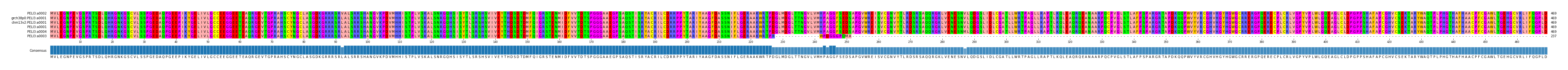 Multiple Alignments (by translate haplotype similarity)