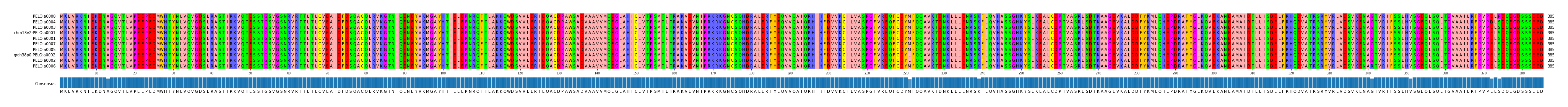Multiple Alignments (by translate haplotype similarity)