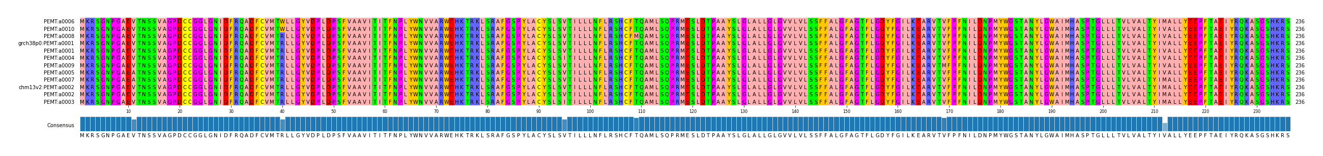 Multiple Alignments (by translate haplotype similarity)