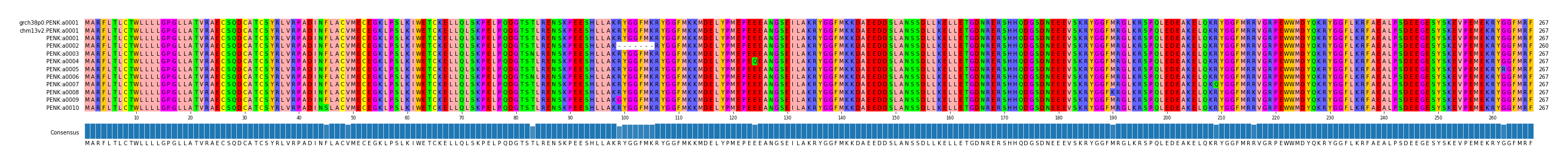 Multiple Alignments (by translate haplotype frequency)